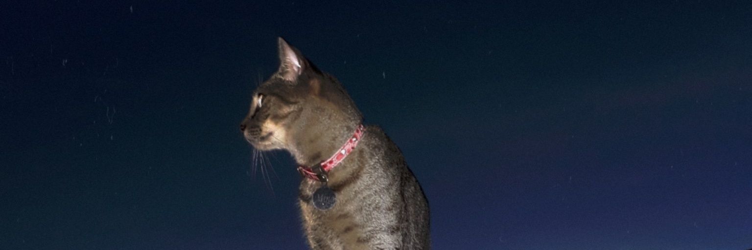 me4bis's profile banner image