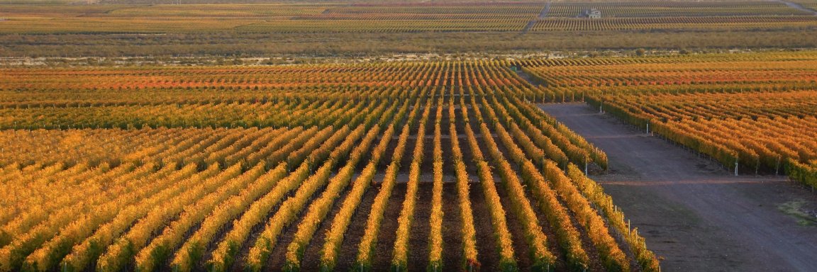 gowineusa's profile banner image