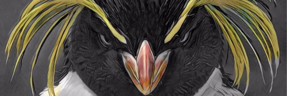 TheGreenseers's profile banner image