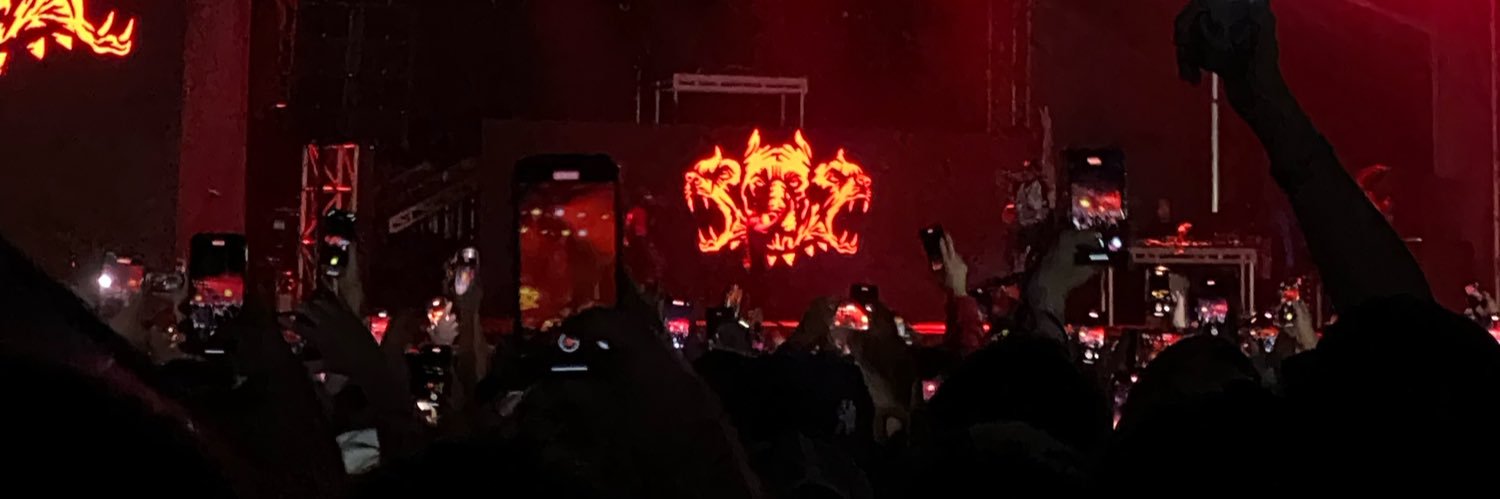 Ronin banner