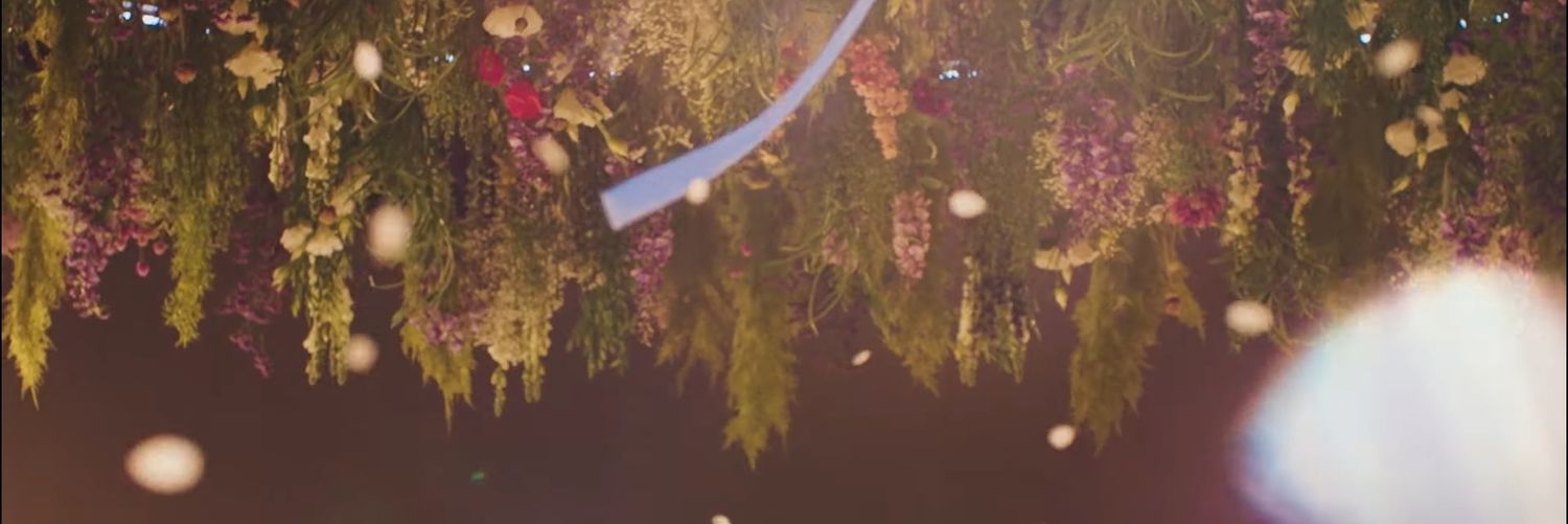 coupscherrytint's profile banner image