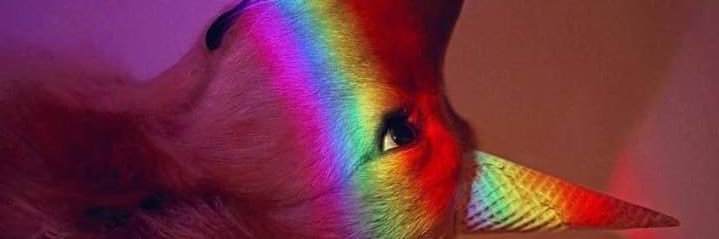 dazbg's profile banner image