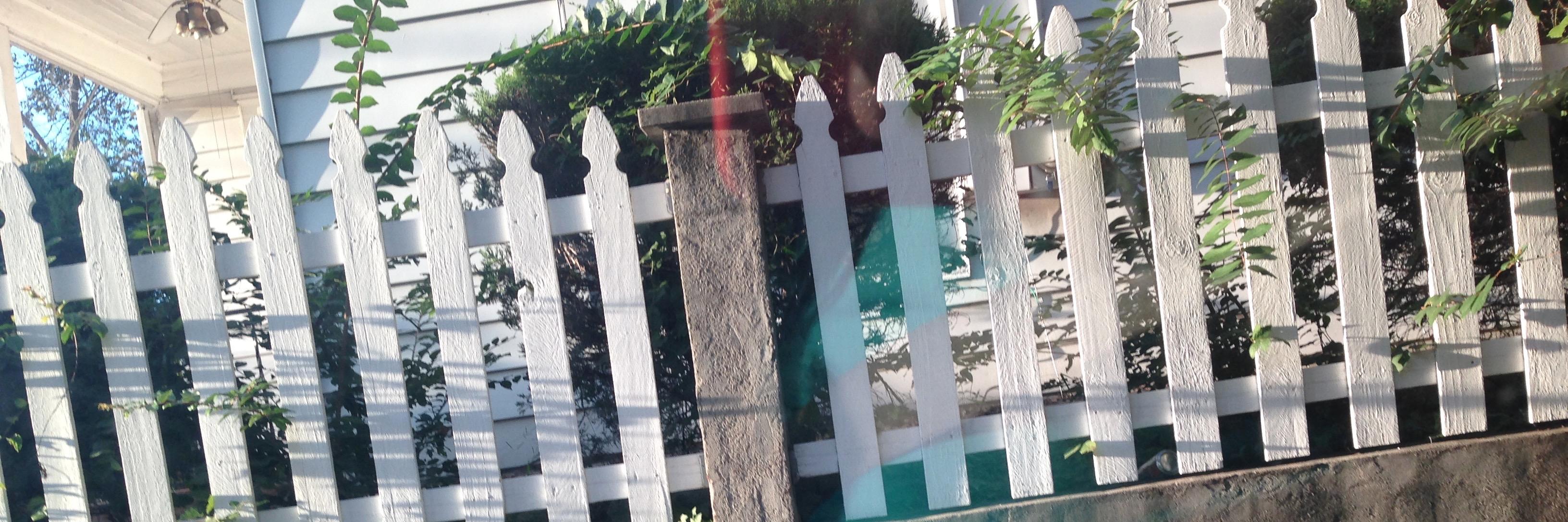 TaylorRayeinLA's profile banner image