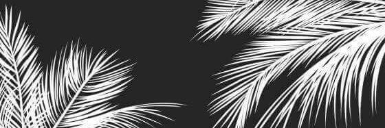 polintan_philip's profile banner image