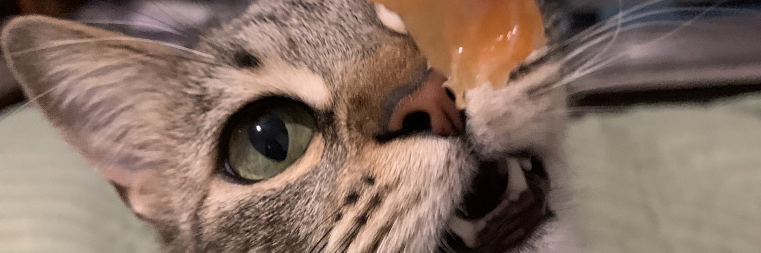 vickyyyferrr's profile banner image