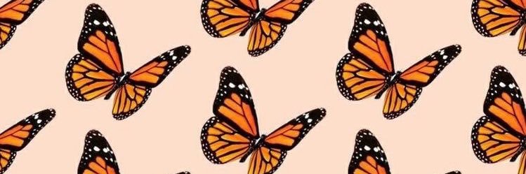 bailee. banner