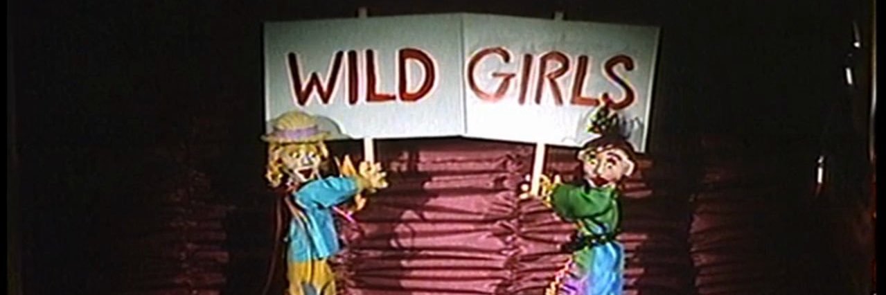 Nikki banner