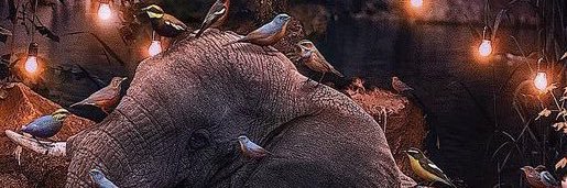 moccabby's profile banner image