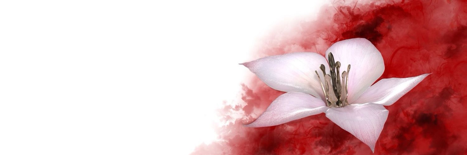 b2onex's profile banner image