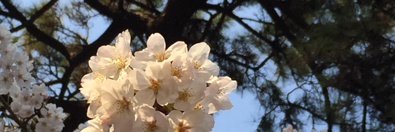 kekrssn's profile banner image