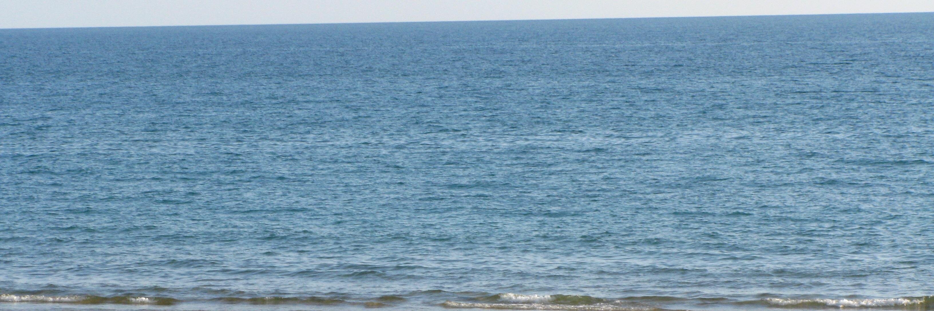 Sorokin Artem banner