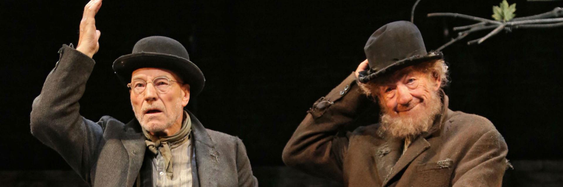 TehBuggy 📗 (Elizabeth H) banner