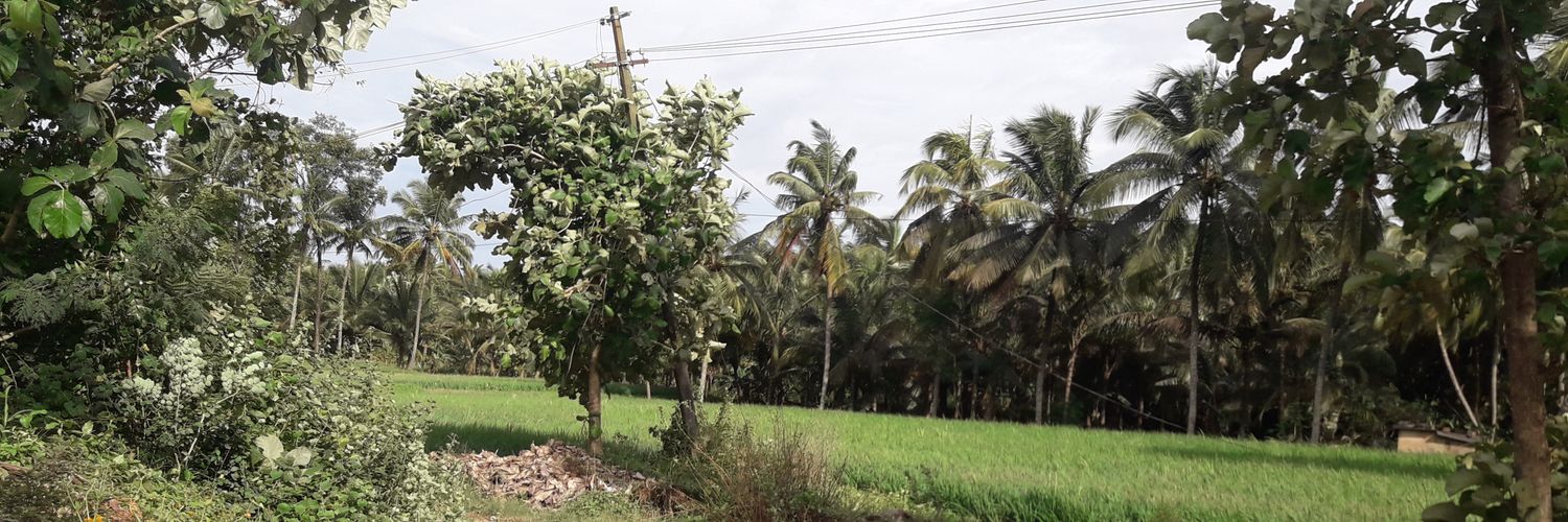 HiEnkovaiRamesh's profile banner image