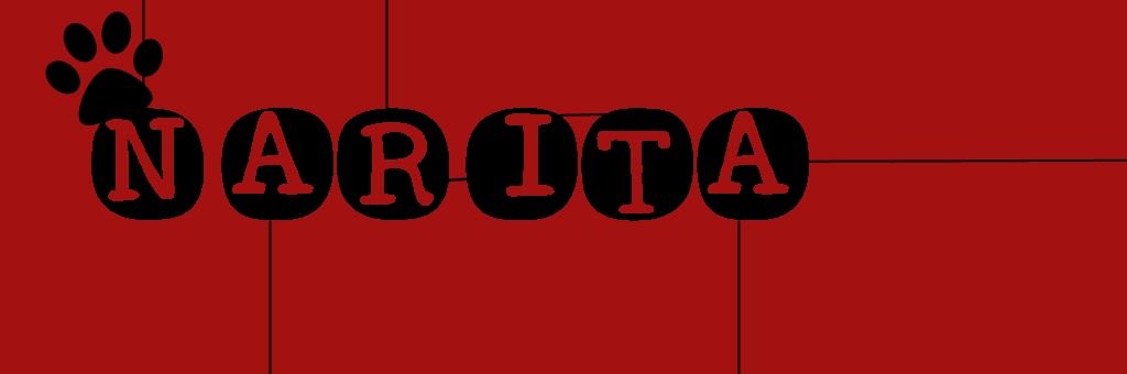 naritasmile's profile banner image