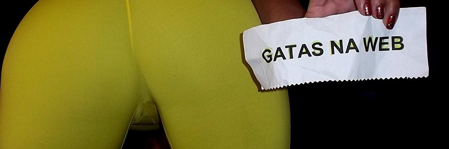 GatasNaWeb1's profile banner image