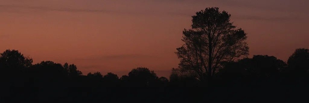 roczvijay's profile banner image