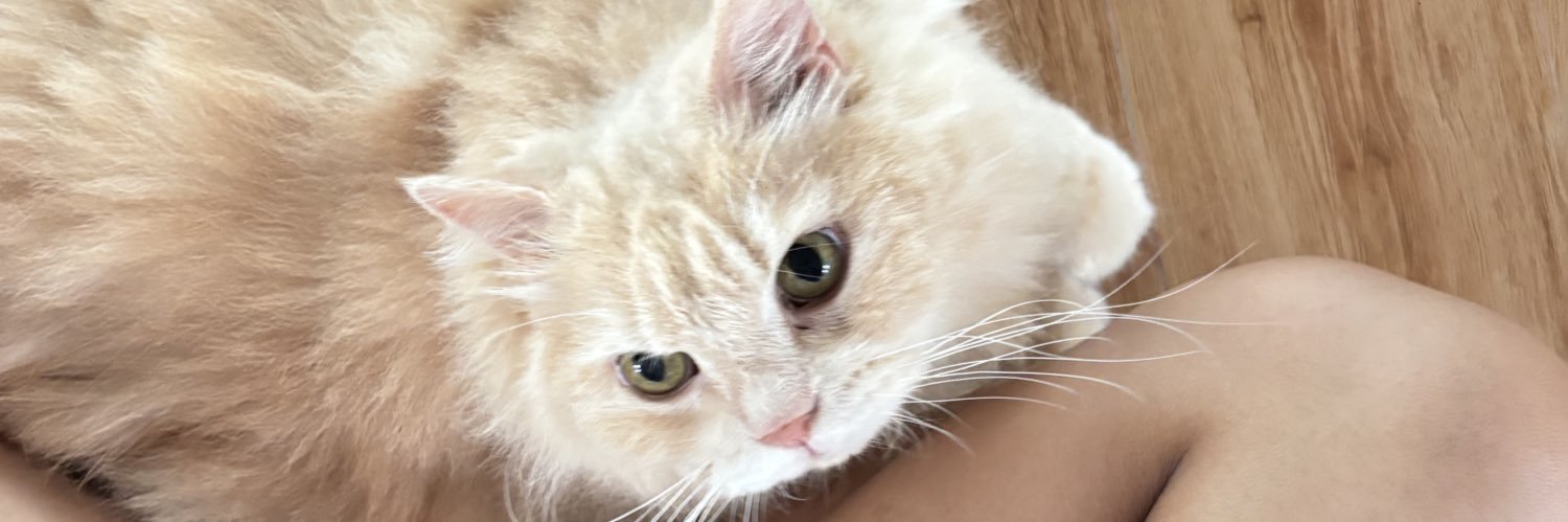 widdanm's profile banner image
