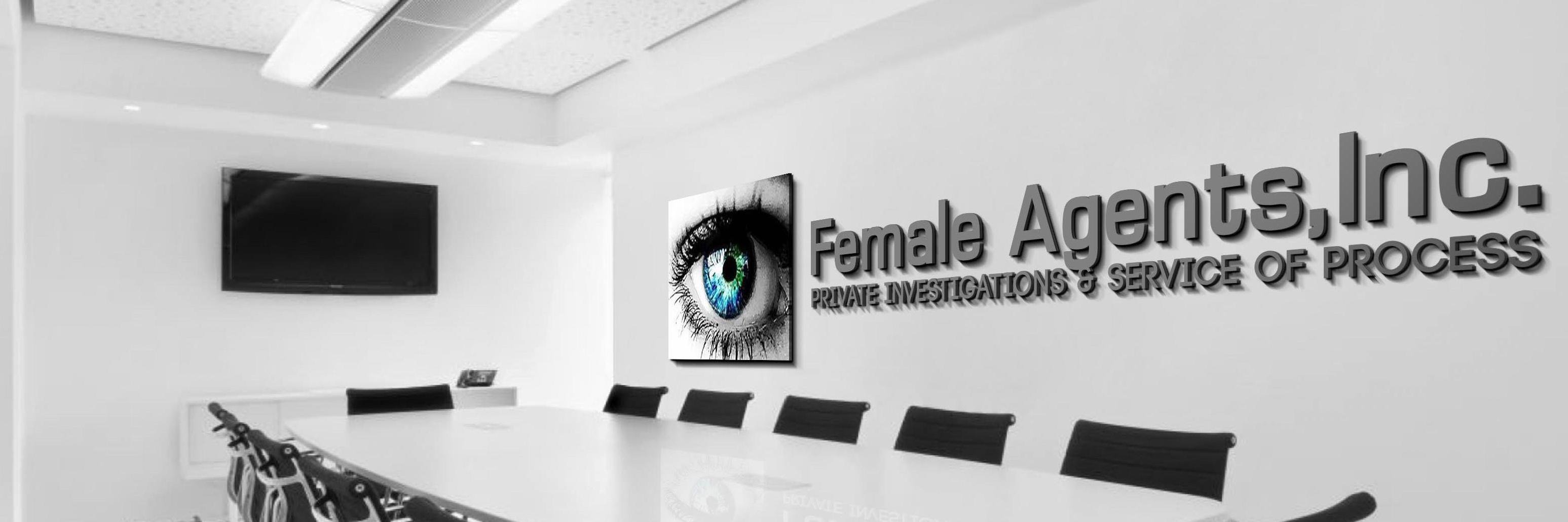 FemaleAgents's profile banner image