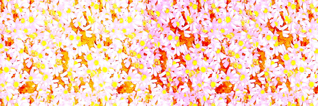 owlnihongo's profile banner image