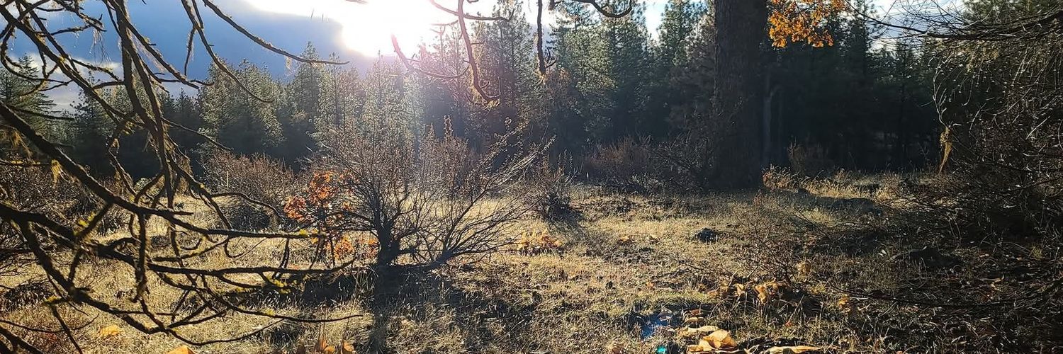 ThisIsJaredTV's profile banner image