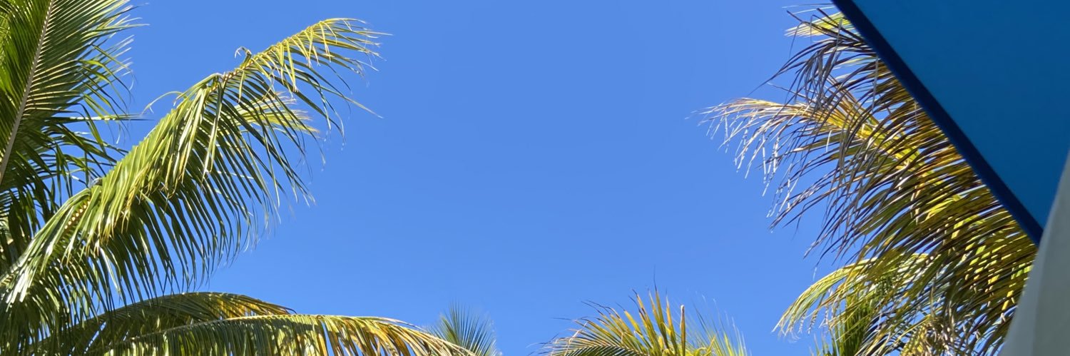 Diani_Morales's profile banner image