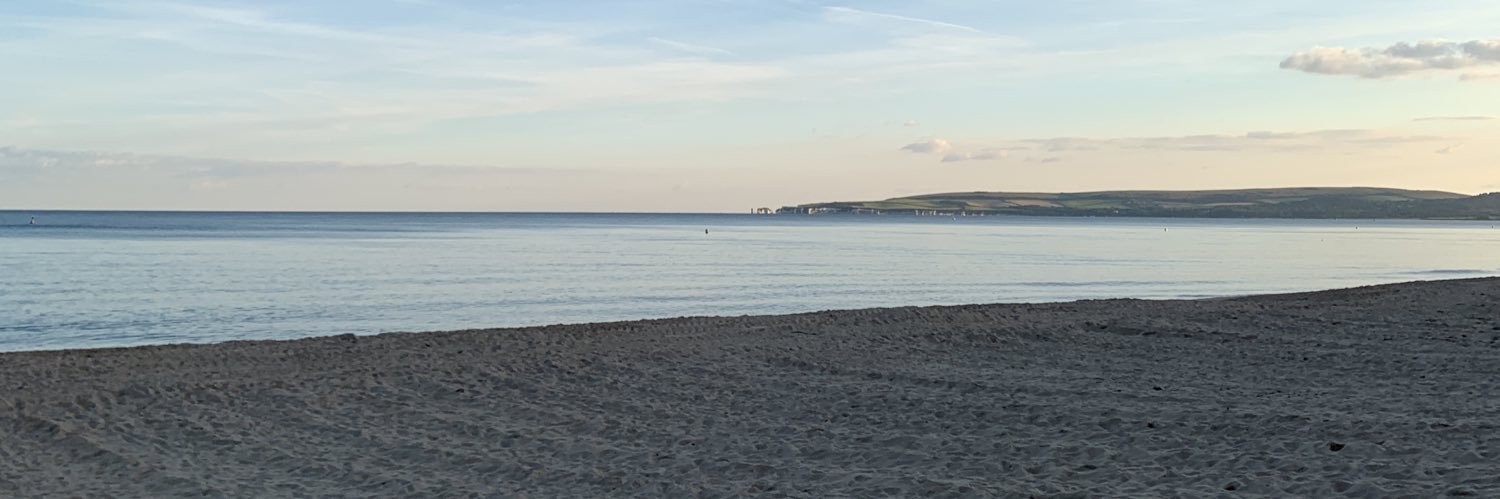 Michelle Dharmasiri banner