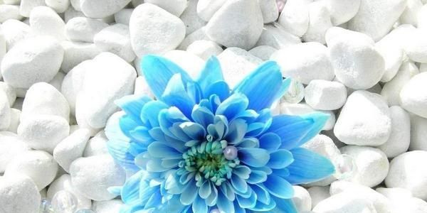 PushkarDabas's profile banner image