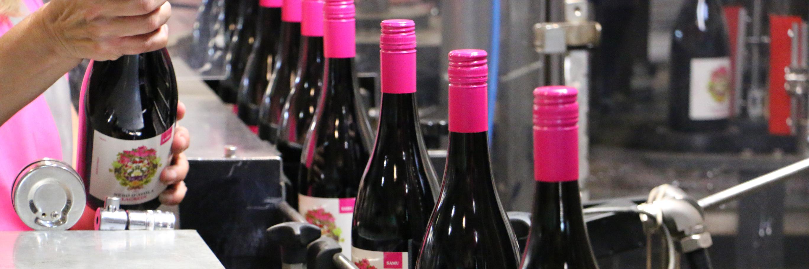 samuwines's profile banner image