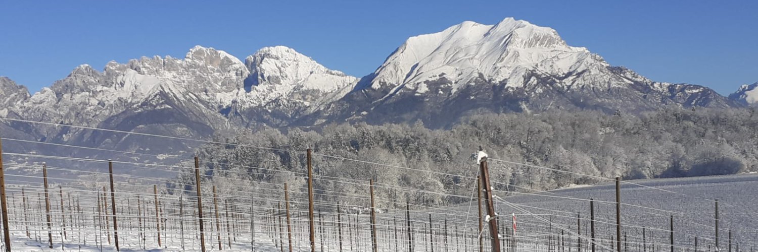 Proseccolerughe's profile banner image