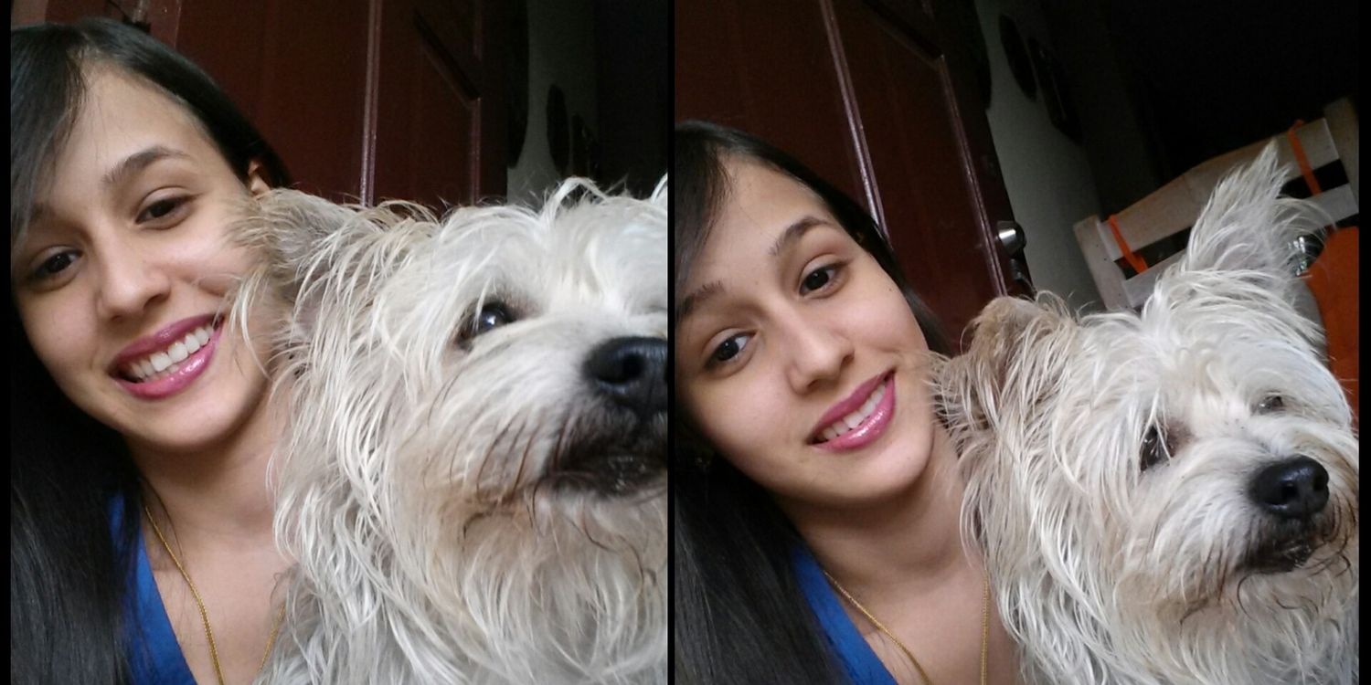 DeniseMelo02's profile banner image