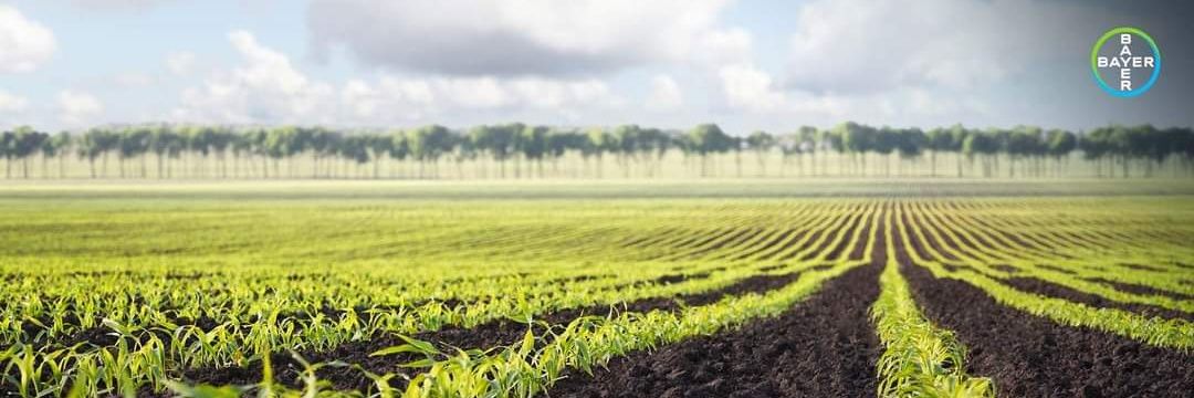 MxAgro's profile banner image