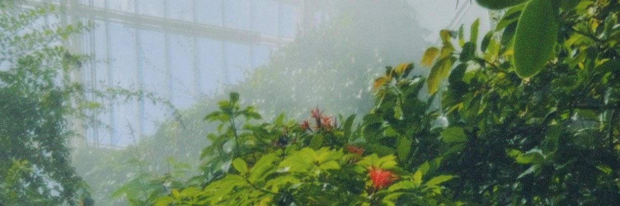 dabucci0's profile banner image