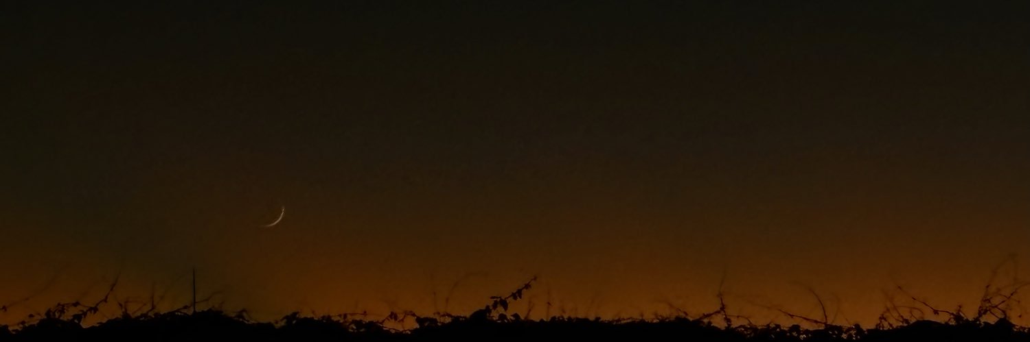 _03133_'s profile banner image