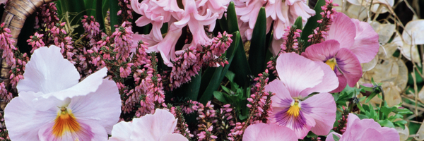 AG_Offers Profile Banner