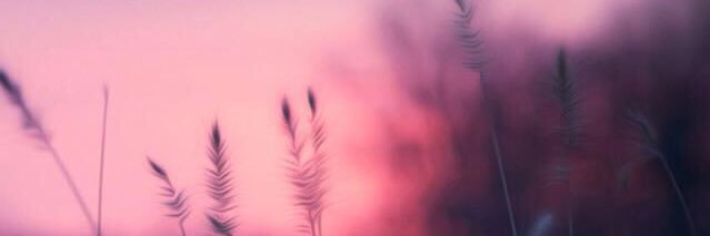 olift4's profile banner image