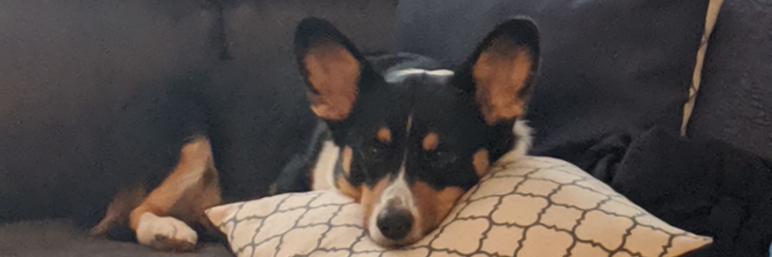 TylerClary29's profile banner image