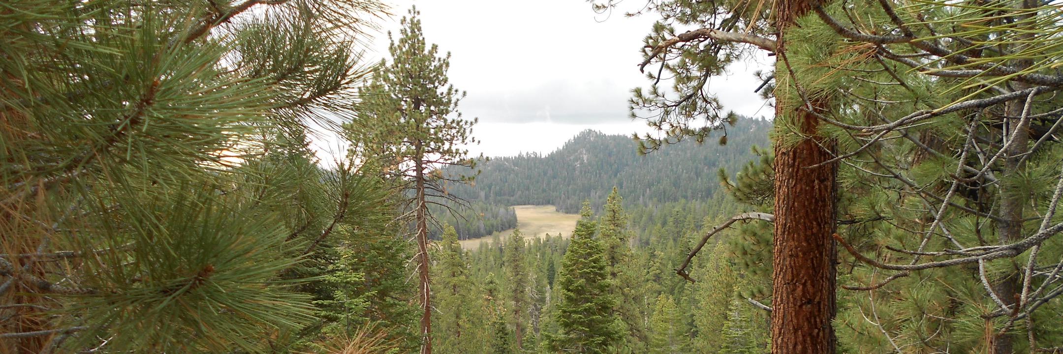 Western Watersheds banner