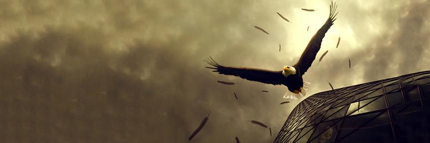 thebattlemaid's profile banner image