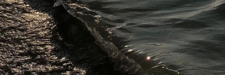 Eesh9i's profile banner image