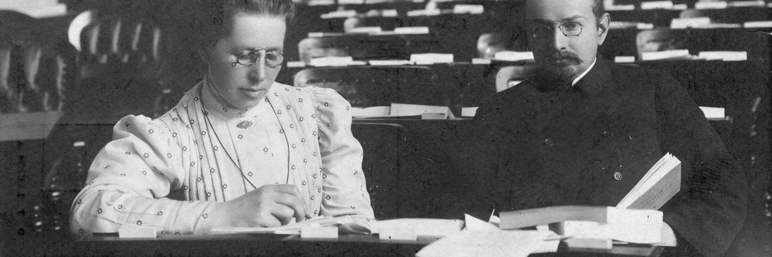 Miina Sillanpää banner