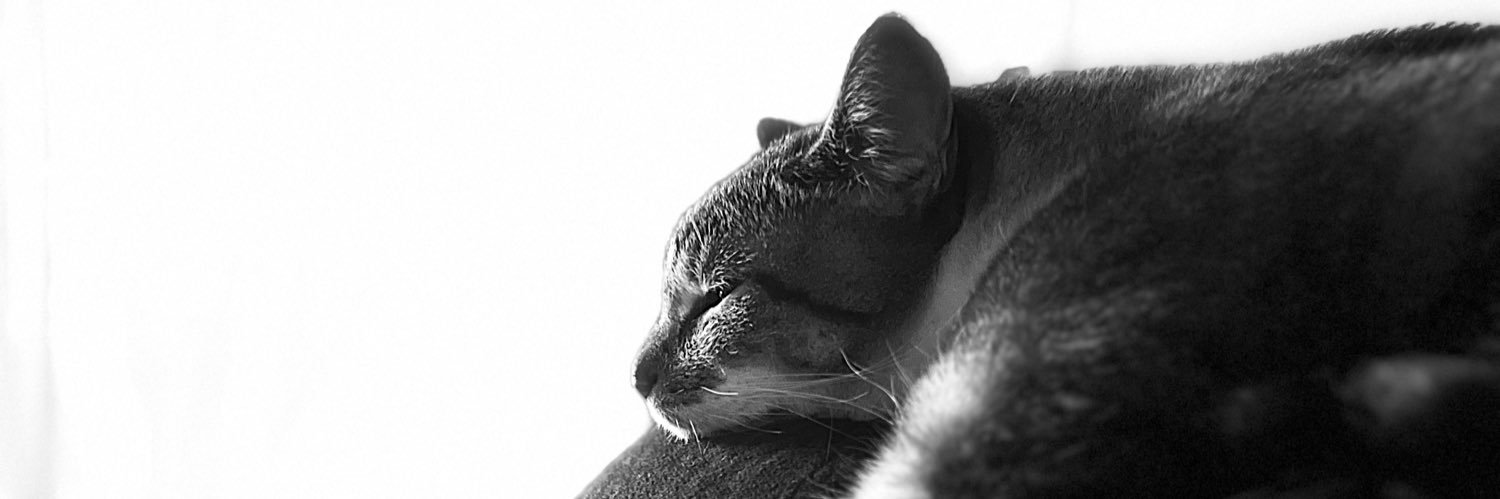 Drew_Simon_'s profile banner image