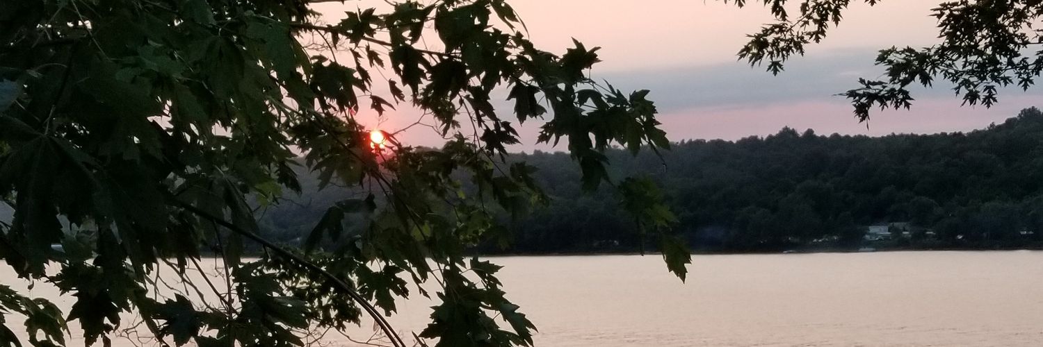 wonkovich_m's profile banner image