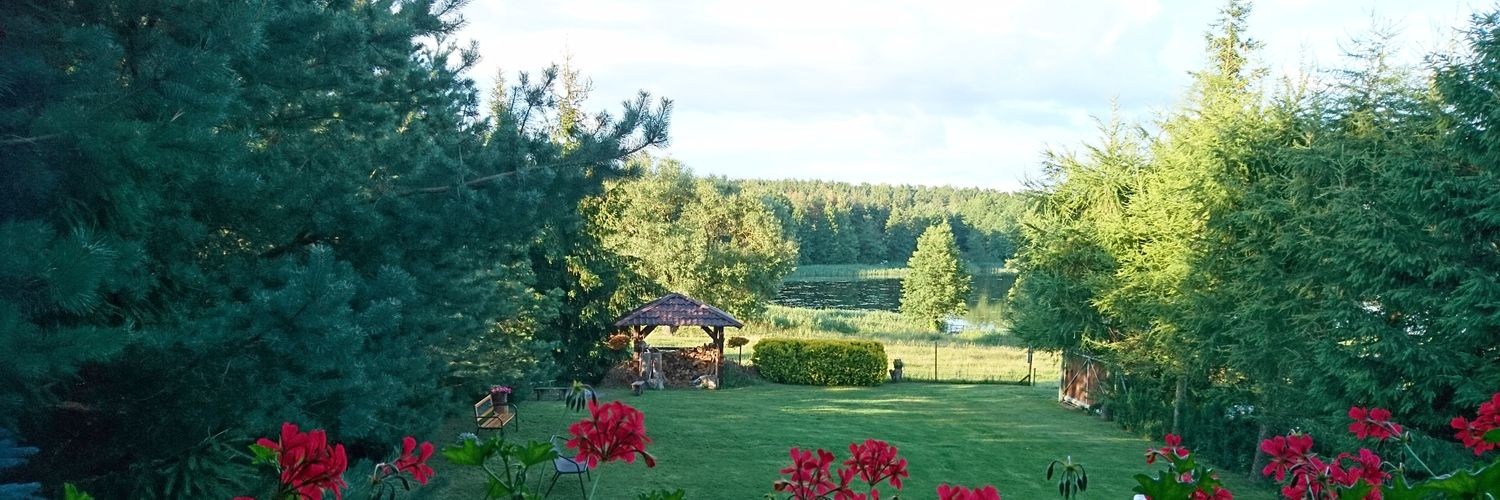jaceksadowski62's profile banner image