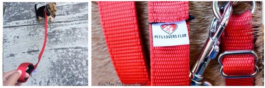 PetsLoversClub's profile banner image