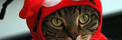funnypop66's profile banner image