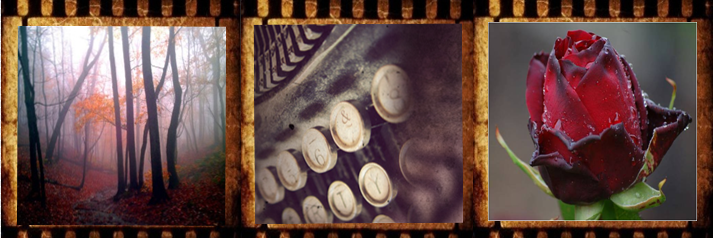 WittyWriterPlan's profile banner image
