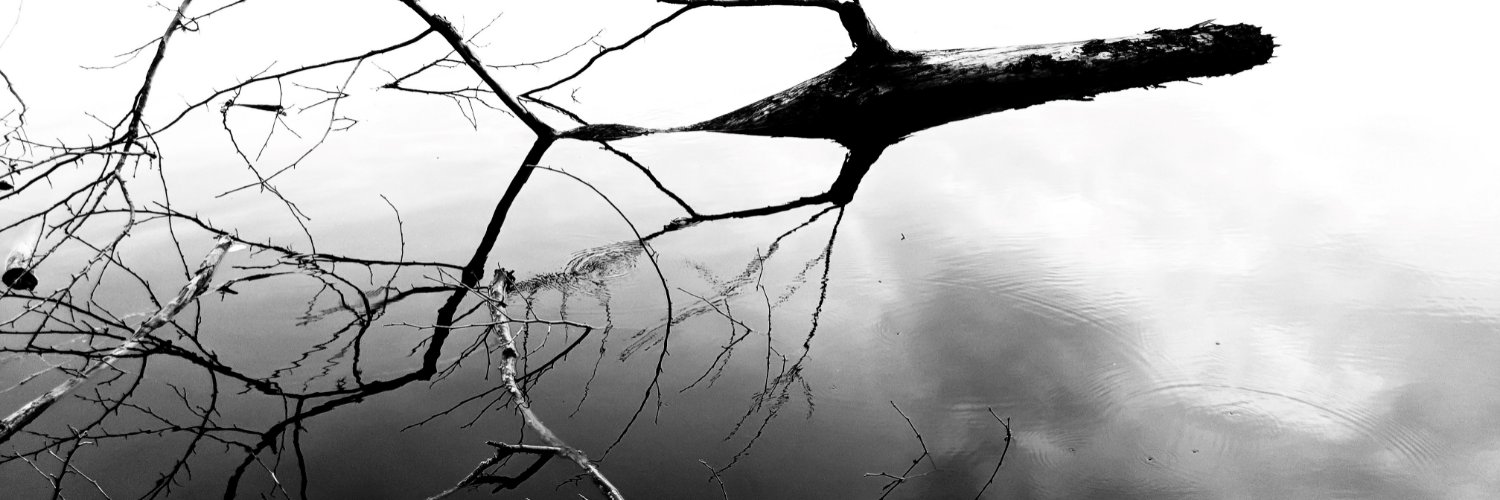 ıllı..lı...ıllı...lı.. banner