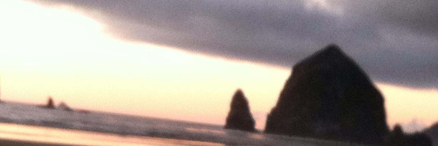 pkrodewald's profile banner image