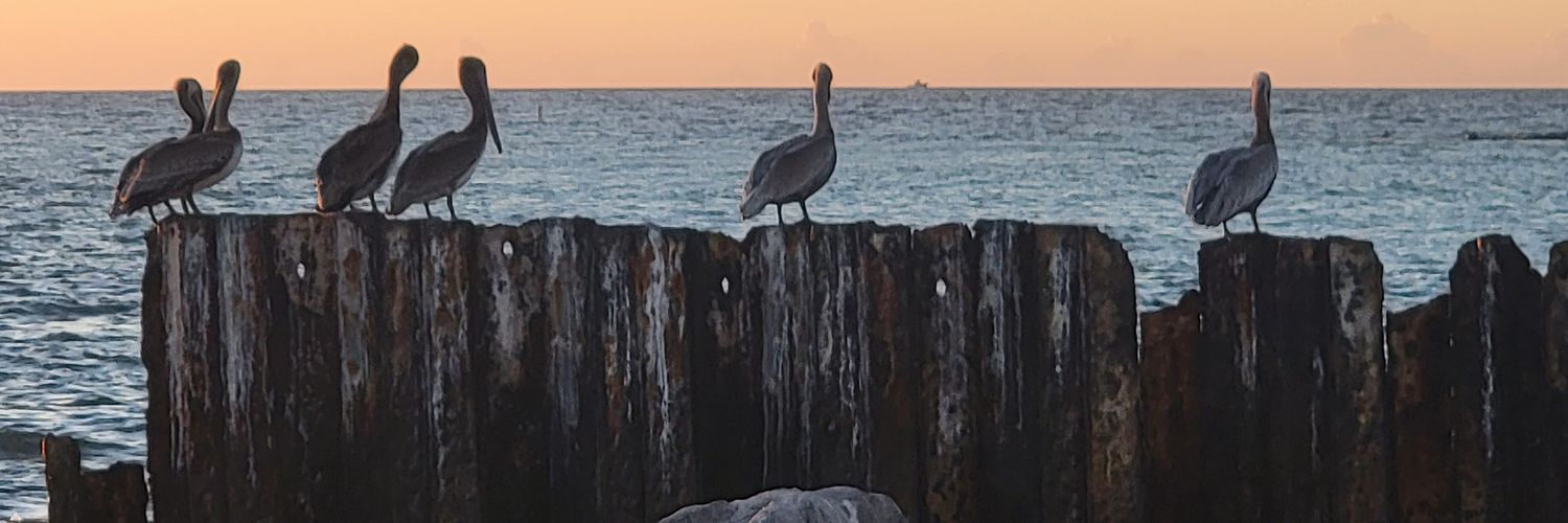 vegasnetguy's profile banner image