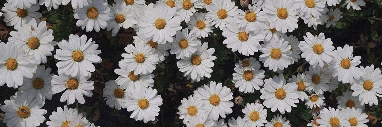 tbabee38's profile banner image